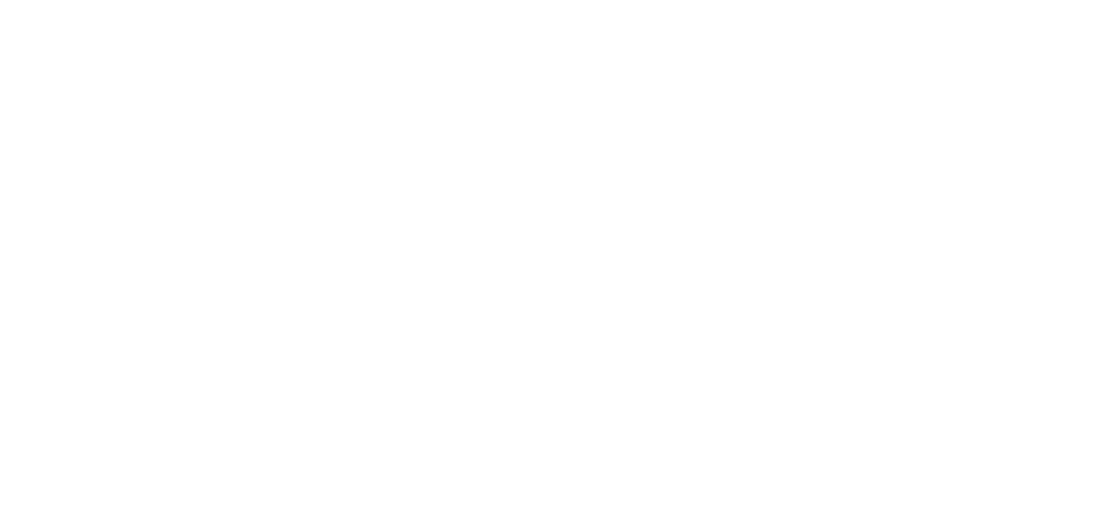 VIDIMI media WINAXFOTOGRAFO